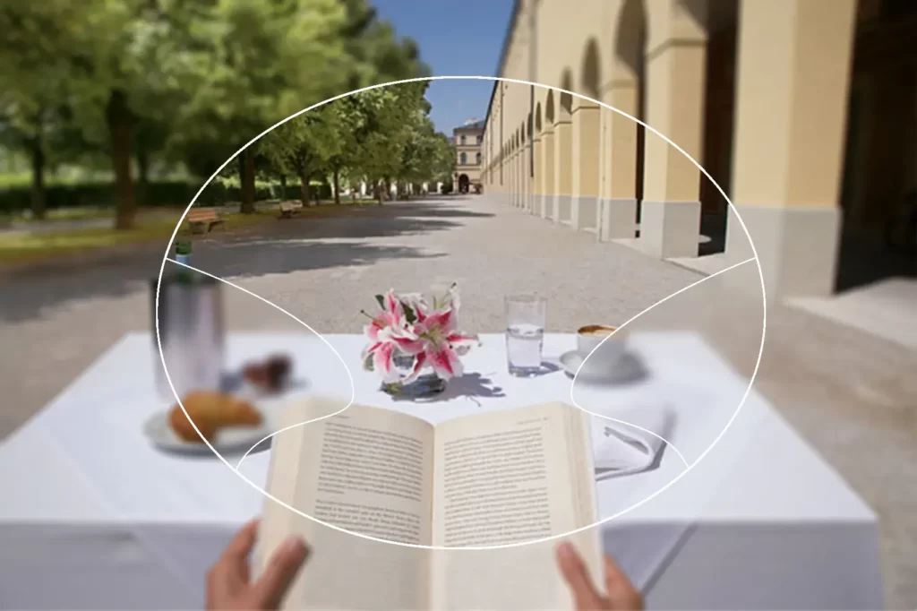 Imagine serviciu Lentile de calitate